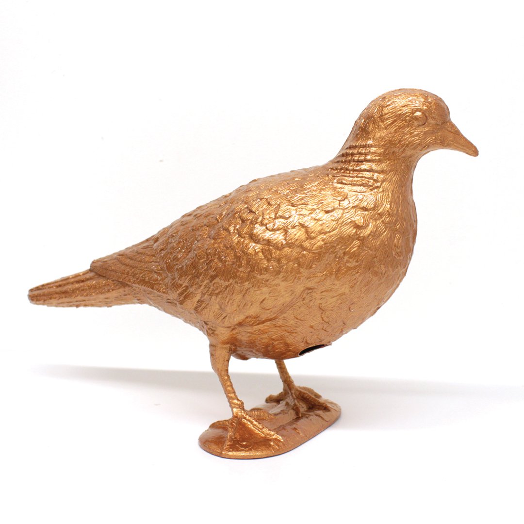 Belonging (Bronze Pigeon Standing)
