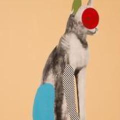 Mafdet - Station 16 Gallery 