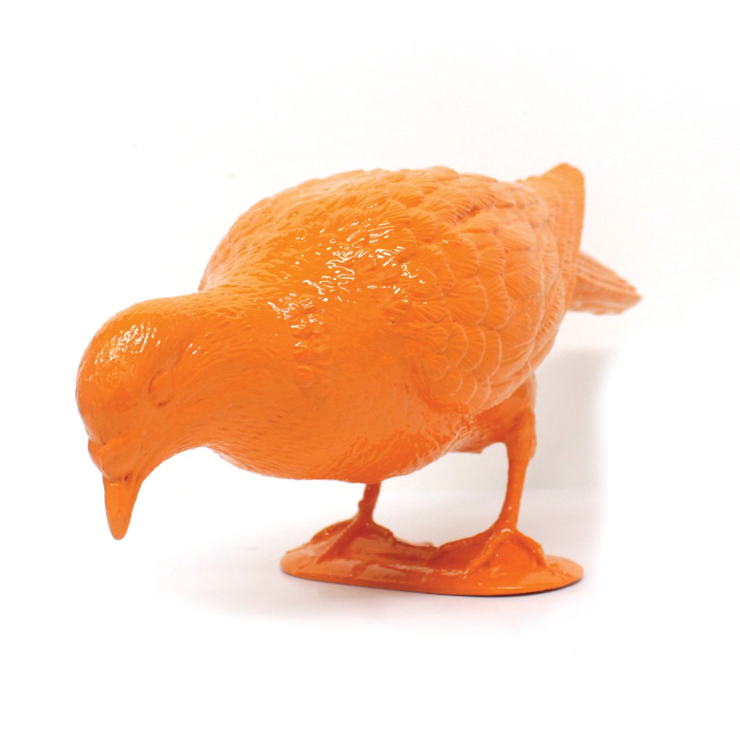 Belonging (Orange Pigeon Eating)