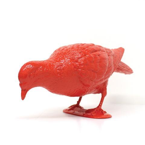 Belonging (Red Pigeon Eating) - Station 16 Gallery 