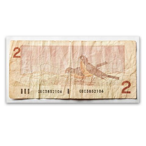Two Dollar Bill (Canada) - Unframed - Station 16 Gallery 
